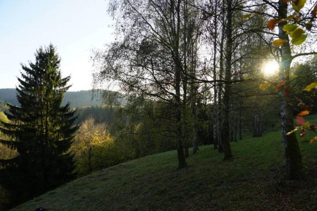Langenbach  Ruhiges Ferienhaus Am Waldrand Mit Sauna Und Kamin - Hellaberg II מראה חיצוני תמונה